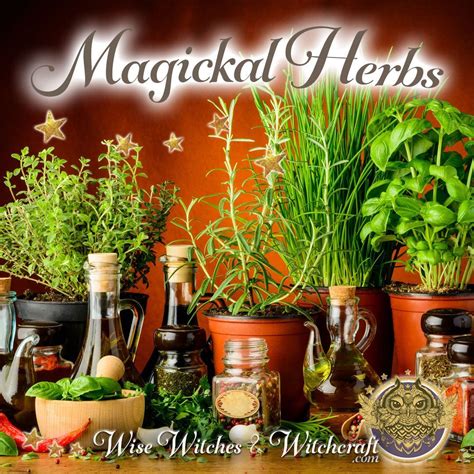 Celtic herbal magic